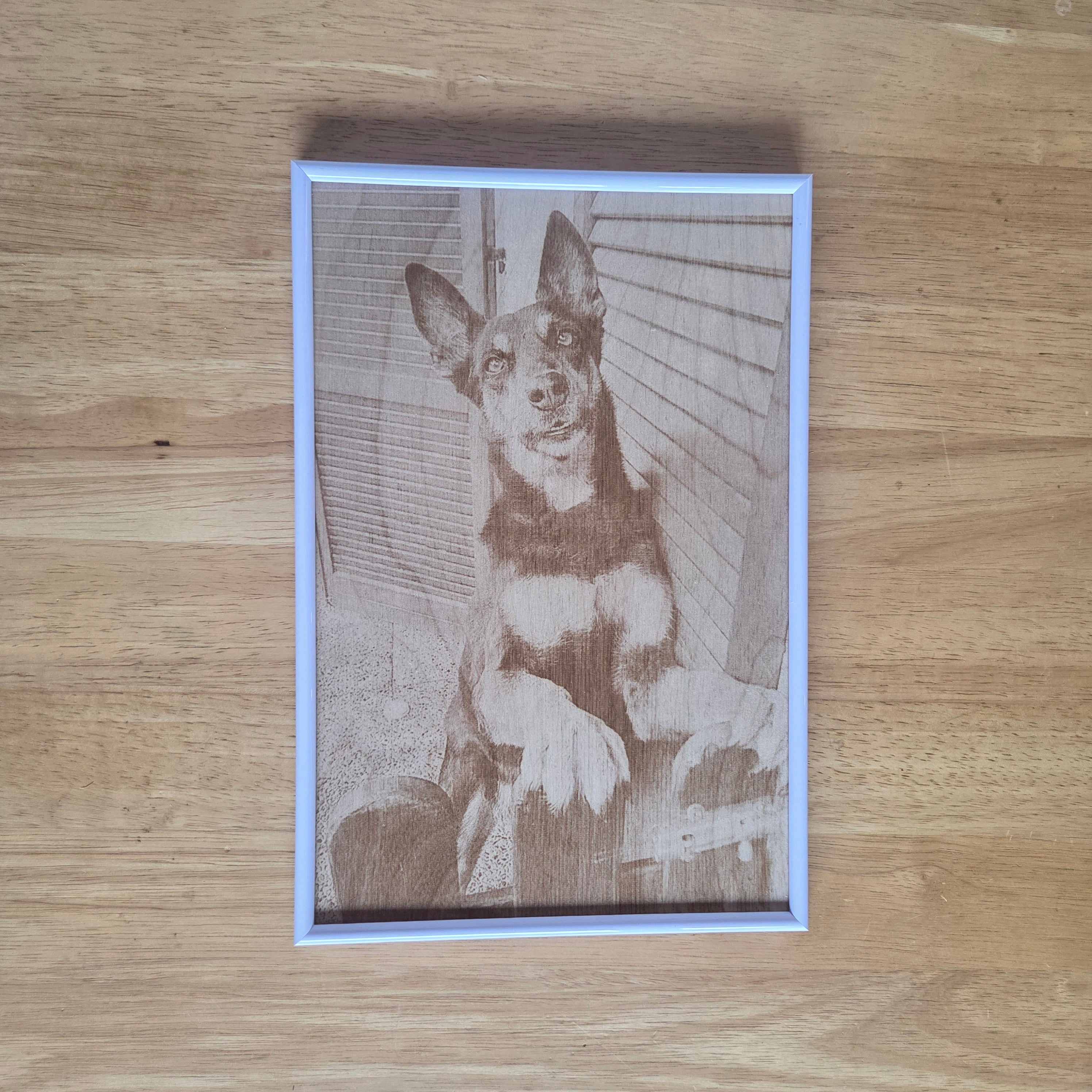 Ritratto di un cane inciso su legno